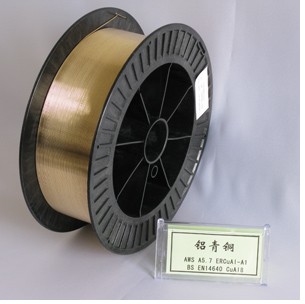 �����Ͻ𺸽Ӳ��� ����ͭ��˿ (���������